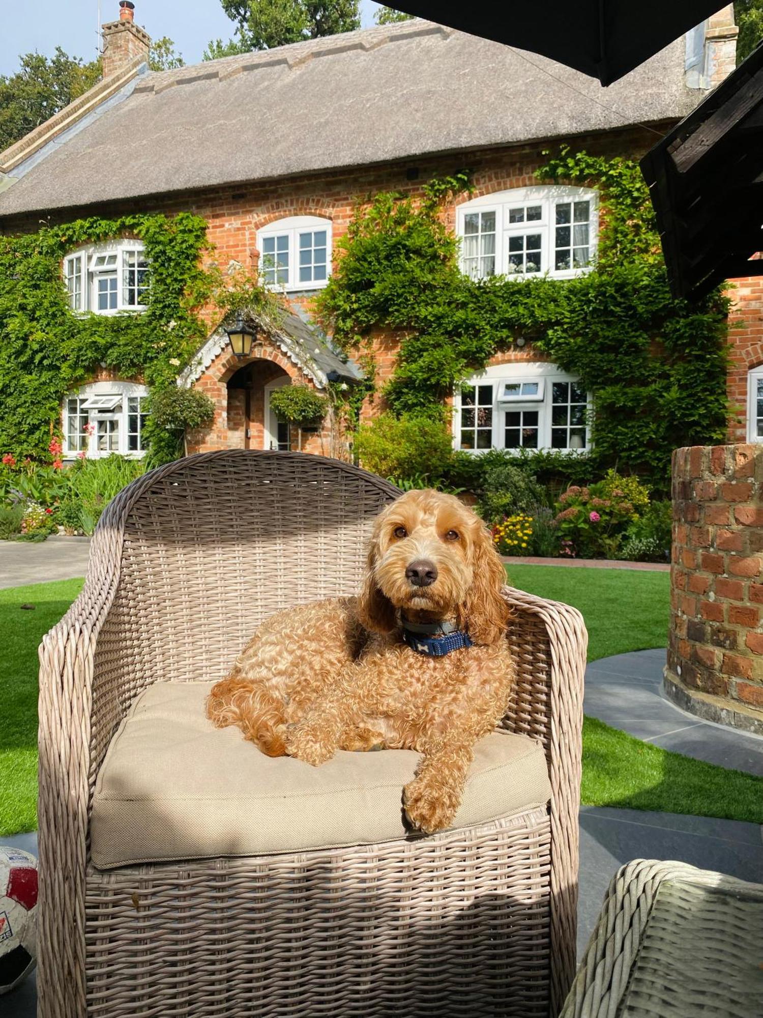 Little Woodside A Beautiful New Forest Self Contained Private Luxury Annexe New Milton Exterior photo